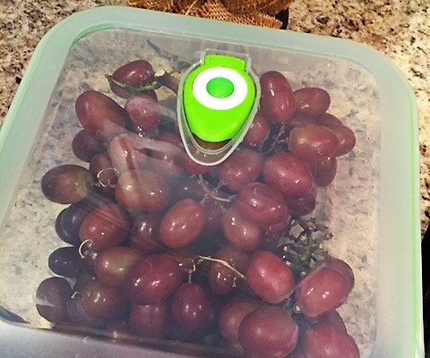 container set review