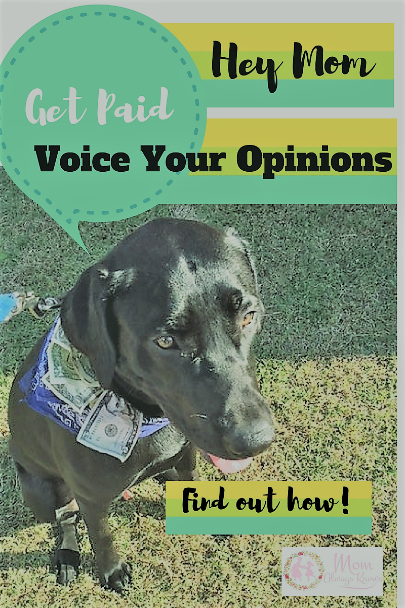 Hey Mom- Get Paid to Voice Your Opinion with Opinion Outpost Surveys