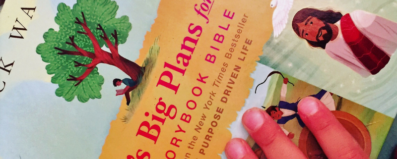 review God's Big Plans for Me bible