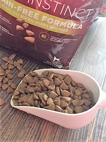 feeding habits for dog