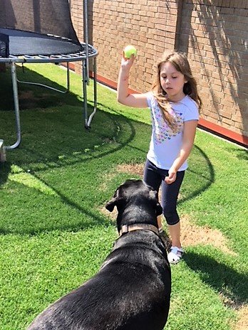 girl playing fetch with dog