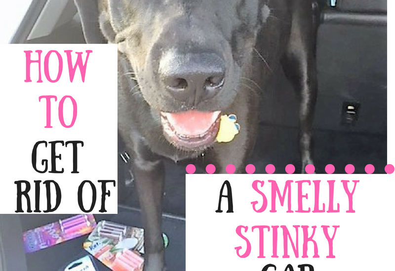 get rid of smelly car