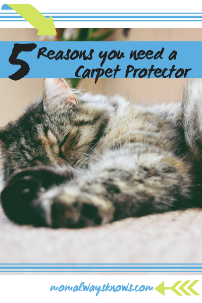 5 Reasons You Need to Use a Carpet Protector